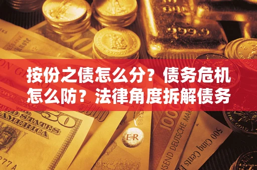 武汉按份之债怎么分？债务危机怎么防？法律角度拆解债务分配与风险自保指南