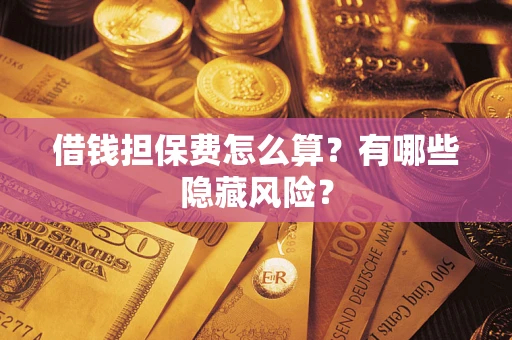 武汉借钱担保费怎么算？有哪些隐藏风险？