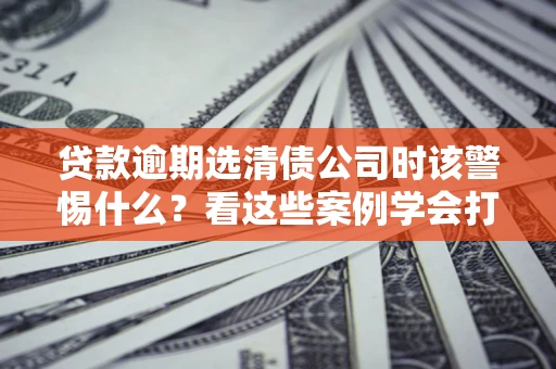 武汉贷款逾期选清债公司时该警惕什么？看这些案例学会打翻身仗