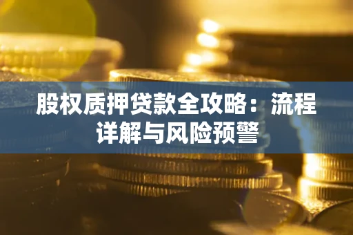 武汉股权质押贷款全攻略：流程详解与风险预警