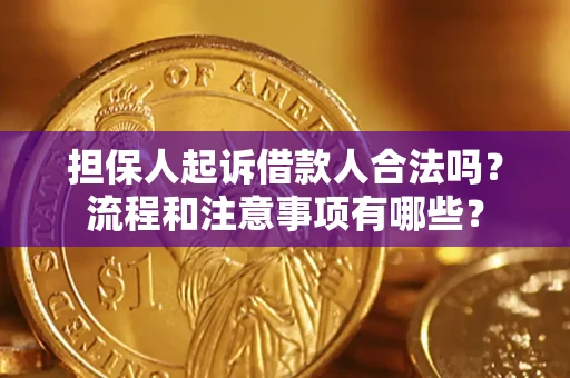武汉担保人起诉借款人合法吗？流程和注意事项有哪些？