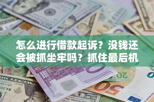 武汉怎么进行借款起诉？没钱还会被抓坐牢吗？抓住最后机会！