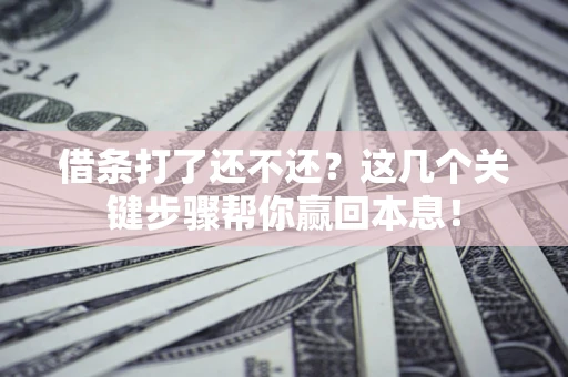 武汉借条打了还不还？这几个关键步骤帮你赢回本息！