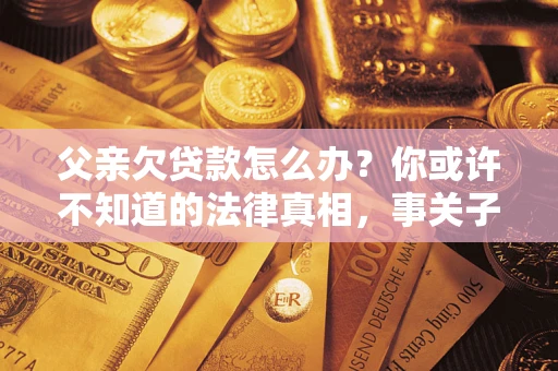 武汉父亲欠贷款怎么办？你或许不知道的法律真相，事关子女未来