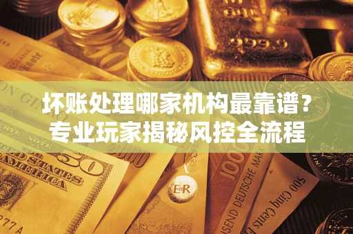武汉坏账处理哪家机构最靠谱？专业玩家揭秘风控全流程