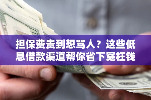 武汉担保费贵到想骂人？这些低息借款渠道帮你省下冤枉钱