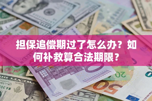 武汉担保追偿期过了怎么办？如何补救算合法期限？