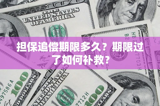 武汉担保追偿期限多久？期限过了如何补救？