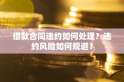 武汉借款合同违约如何处理？违约风险如何规避？