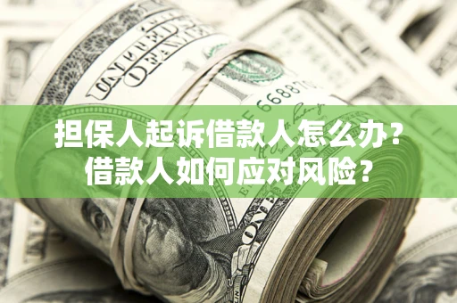 武汉担保人起诉借款人怎么办？借款人如何应对风险？