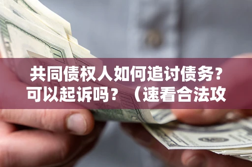 武汉共同债权人如何追讨债务？可以起诉吗？（速看合法攻略）