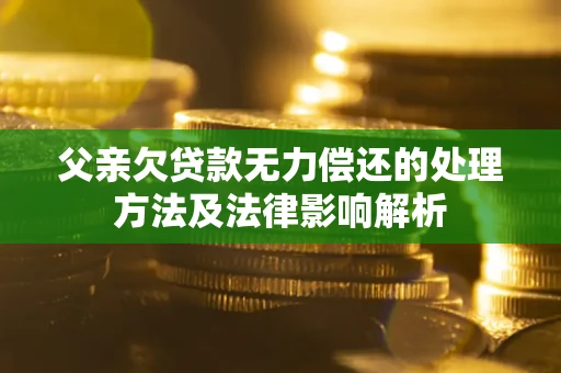 武汉父亲欠贷款无力偿还的处理方法及法律影响解析