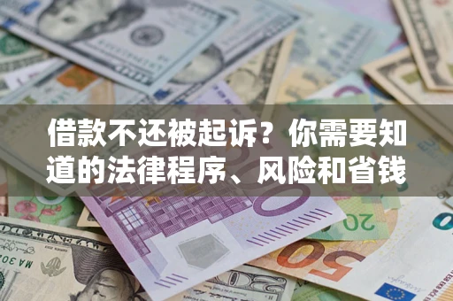 武汉借款不还被起诉？你需要知道的法律程序、风险和省钱技巧