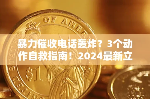 武汉暴力催收电话轰炸？3个动作自救指南！2024最新立案标准全解析
