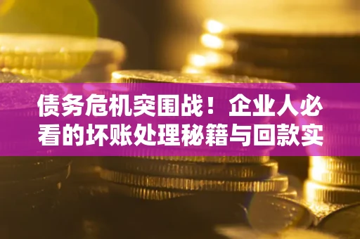 武汉债务危机突围战！企业人必看的坏账处理秘籍与回款实战指南